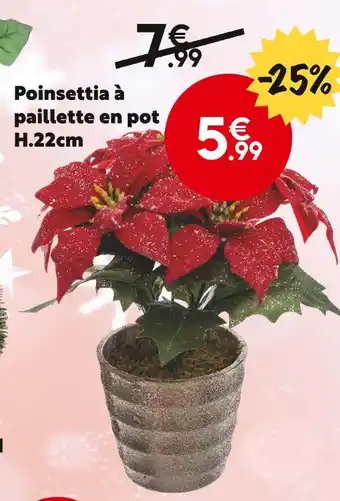 Maxi Bazar Poinsettia à paillette en pot offre