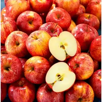 Carrefour Pomme gala filière qualité carrefour offre