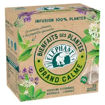 Carrefour Market Elephant et lipton thés et infusions offre