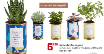 Gifi Succulente en pot offre