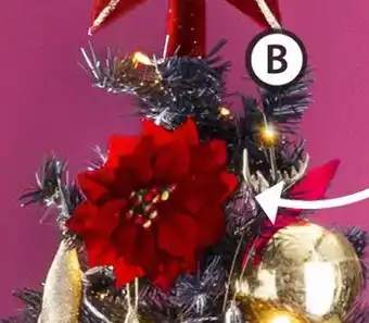 Gifi Poinsettia à clipser x2 offre