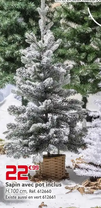 Gifi Sapin avec pot inclus offre