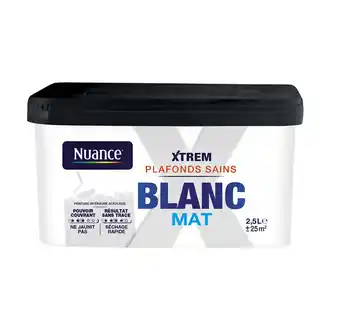 Bricomarché Peinture xtrem plafonds sains - blanc - mat - 2,5l offre