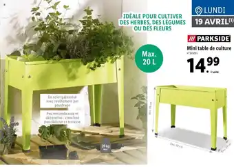Lidl Mini table de culture offre