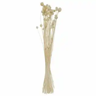 Stokomani Bouquet de fleurs séchées offre