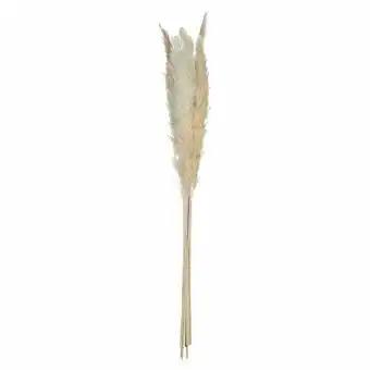 Stokomani 6 branches de fleurs séchées offre