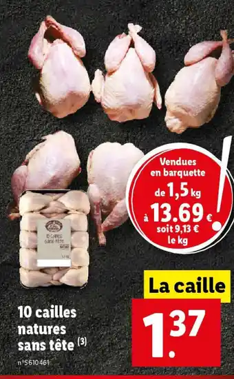Lidl 10 cailles natures sans tête offre