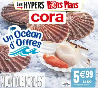 Cora x Carrefour Coquille saint-jacques offre