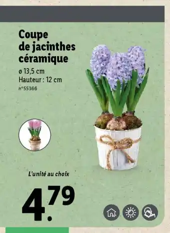 Lidl Coupe de jacinthes céramique offre