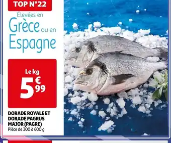 Auchan DORADE ROYALE ET DORADE PAGRUS offre