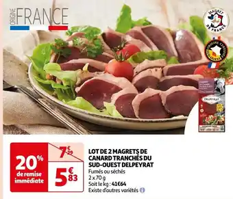 Auchan LOT DE 2 MAGRETS DE CANARD TRANCHÉS DU SUD-OUEST DELPEYRAT offre