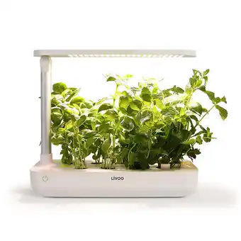 Bricomarché Jardin d'intérieur blanc - lh102 offre