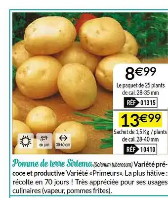 Pomme De Terre Sirtema