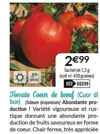 Tomate Cœur De Bœuf (cuor Di Bue)