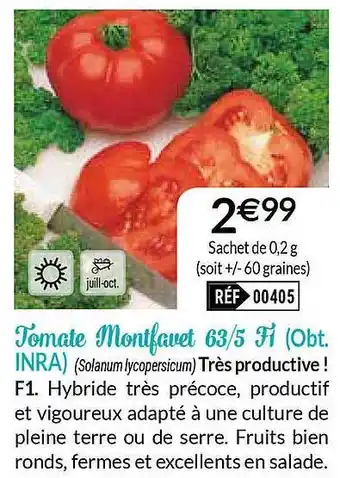 Tomate Montfavet 63-5 Fi (obt. Inra)