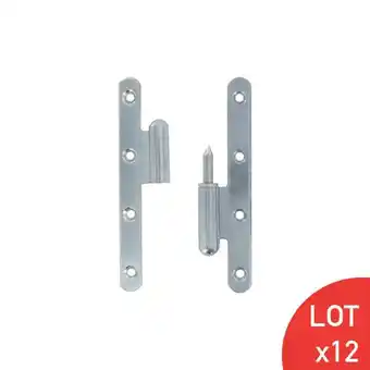 Brico Cash Paumelles pour porte bouts ronds acier zingué blanc 140x60x3 mm gauche offre