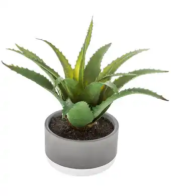 Bricomarché Plante grasse artificielle en pot offre