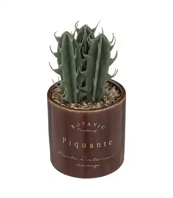 Bricomarché Plante grasse artificielle pot en céramique émaillée h 19 cm offre