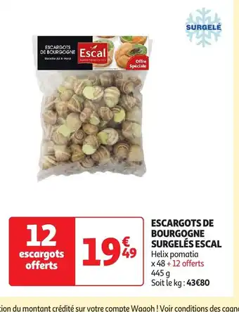 Auchan ESCARGOTS DE BOURGOGNE SURGELÉS ESCAL offre