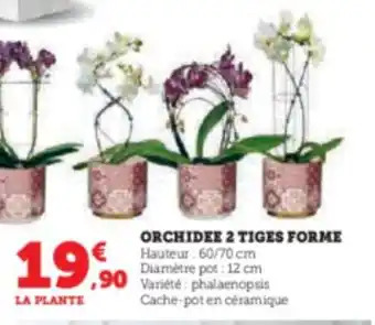 Super U ORCHIDEE 2 TIGES FORME offre