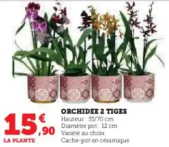 Super U ORCHIDEE 2 TIGES offre