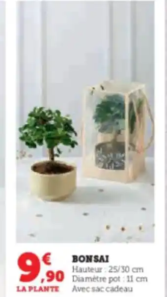 Super U BONSAI offre