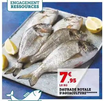 Super U DAURADE ROYALE D'AQUACULTURE(6) offre