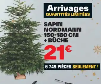 Brico Dépôt SAPIN NORDMANN 150-180 CM + BÛCHE offre