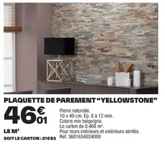 Brico Dépôt PLAQUETTE DE PAREMENT "YELLOWSTONE" offre
