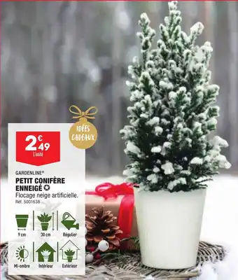 ALDI PETIT CONIFÈRE ENNEIGÉ offre