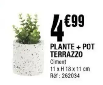 PLANTE + POT TERRAZZO Ciment