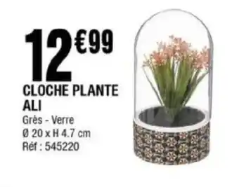 La Foir'Fouille CLOCHE PLANTE ALI Grès-Verre offre