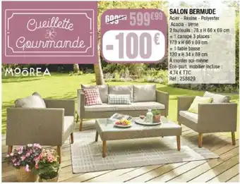 La Foir'Fouille SALON BERMUDE offre