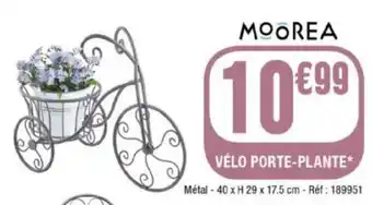 VÉLO PORTE-PLANTE*