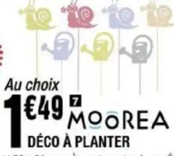La Foir'Fouille DÉCO A PLANTER offre