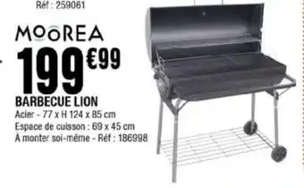 La Foir'Fouille BARBECUE LION offre