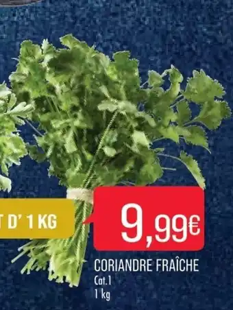 Coriandre fraîche