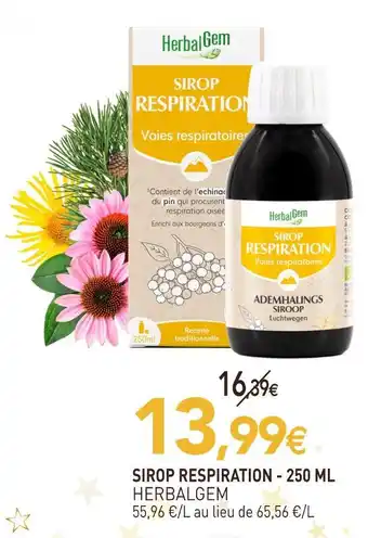 Herbalgem sirop respiration