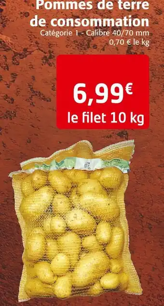 Colruyt Pommes de terre de consommation offre