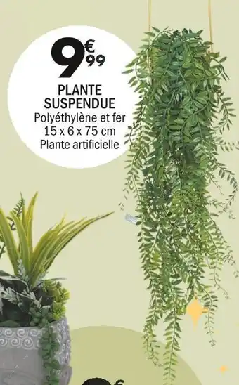 La Foir'Fouille Plante suspendue offre