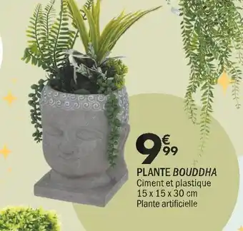 La Foir'Fouille Plante bouddha offre