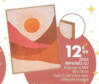 La Foir'Fouille Toile imprimée ali offre