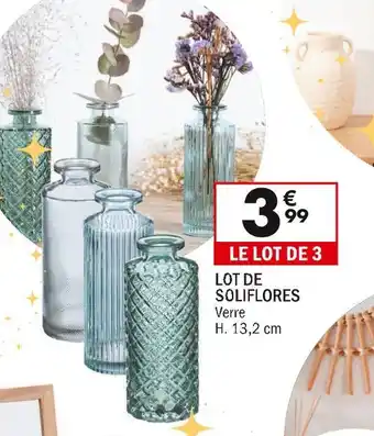 La Foir'Fouille Lot de soliflores offre