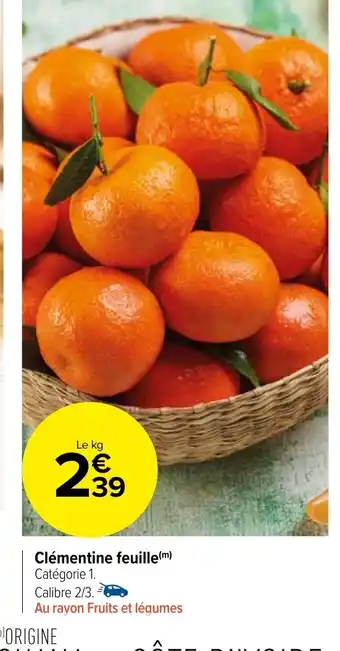 Carrefour Market Clémentine feuille offre