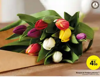Carrefour Market Bouquet de 9 tulipes précoces offre