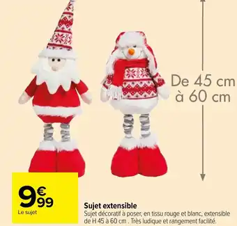 Carrefour Market Sujet extensible offre