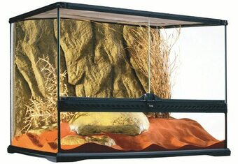 Maxi Zoo Terrarium offre
