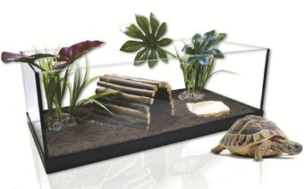 Maxi Zoo Kit terrarium offre