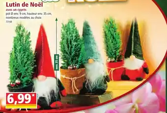 Norma Lutin de Noël offre