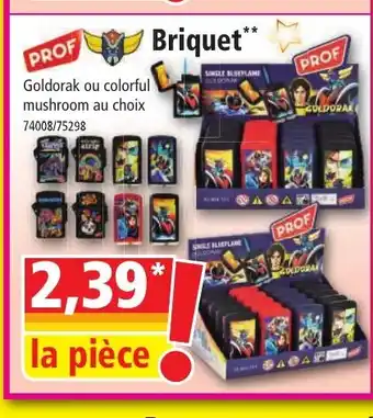 Norma Briquet offre